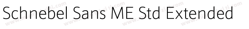 Schnebel Sans ME Std Extended Light字体转换